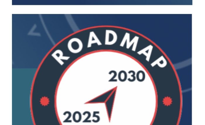 impp roadmap 2025 2030