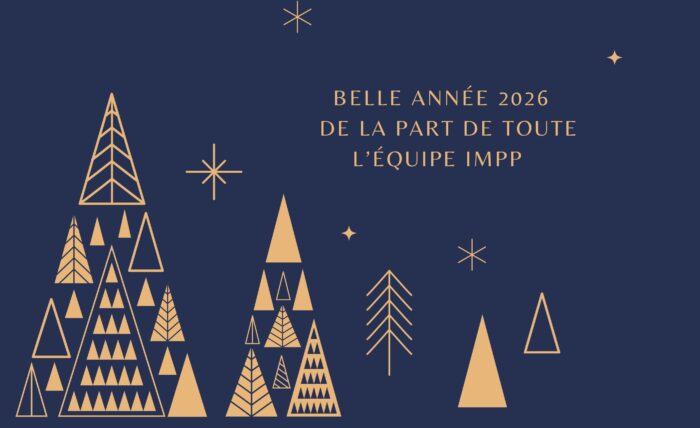 meilleurs voeux 2026 par impp